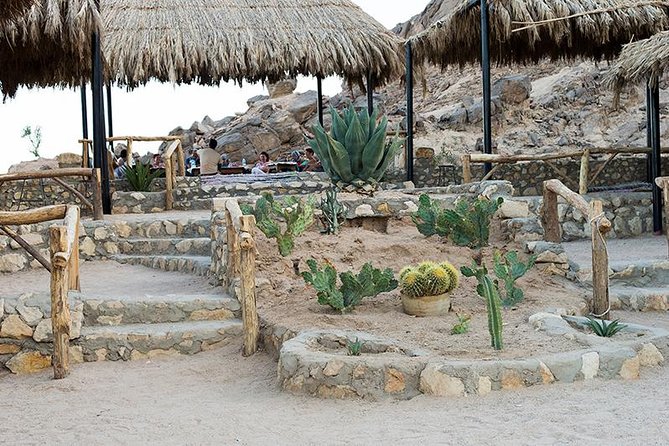 Super Safari, ATV & Sunset, Camel Ride With Dinner - Marsa Alam - Bedouin dinner show: Fakeer, Tanoura, belly dance, and more
