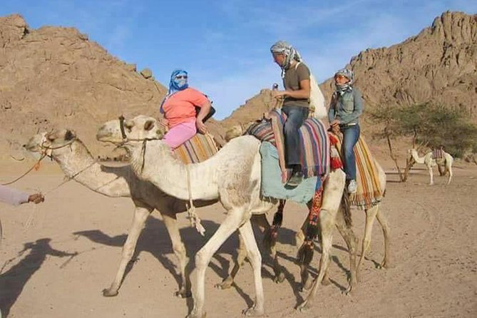 Super Safari Quad Bike, Camel Ride & Bedouin Diner in hurghada - Guide, Languages, and the Small-Group Advantage