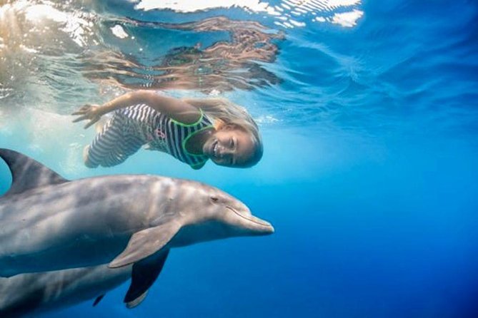 Swim with Dolphins Semi Private Speedboat Sea Tour - Hurghada - Semi-private speedboat logistics: pickup, timing, and why the morning helps