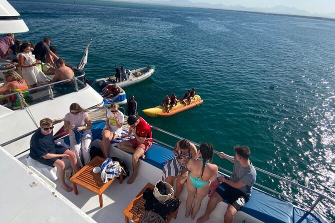 Swim with Dolphins VIP snorkeling Boat Trip with lunch - Hurghada - Price and value: what $15 covers, and what to budget extra