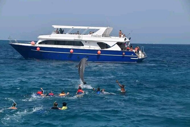 Swim with Dolphins VIP snorkeling Boat Trip with lunch - Hurghada - Timing, weather, and what to pack for a sea-day