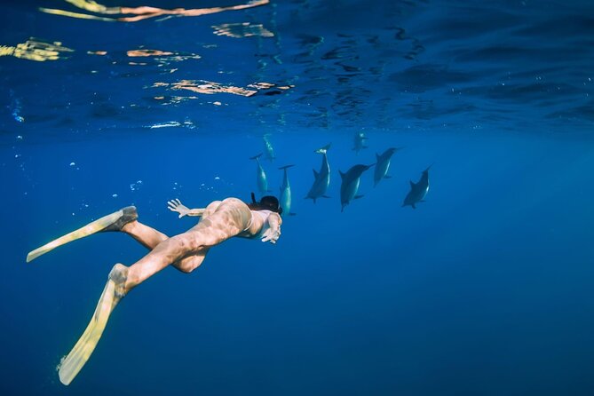 Swimming With Dolphin in Red Sea Adventure with Lunch - Hurgada - Lunch on the water: seafood buffet and how to time it