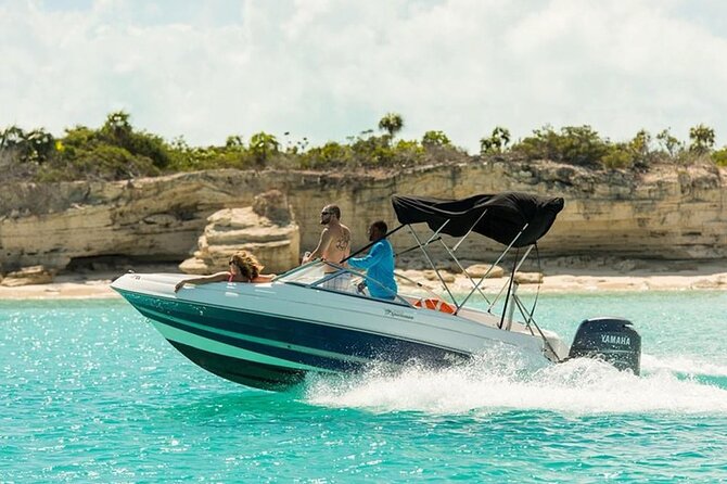 Swimming with Dolphins by Private Speed Boat - Hurghada - Price and value: $65 plus the cash fees to plan for