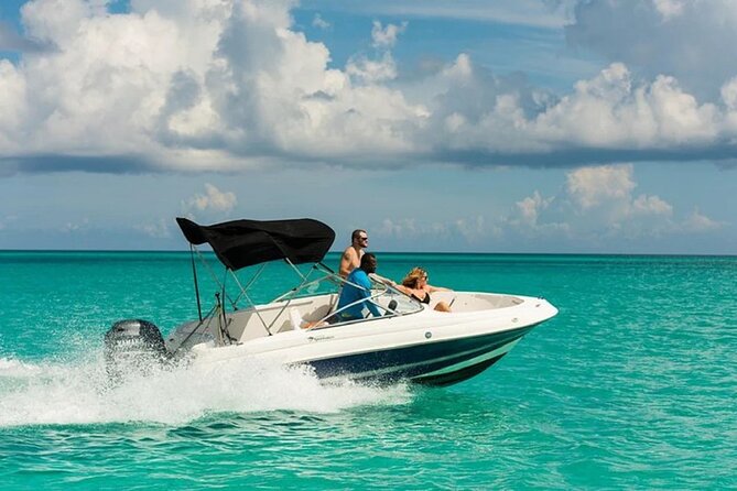Swimming with Dolphins by Private Speed Boat - Hurghada - Who should book this dolphin and snorkeling trip