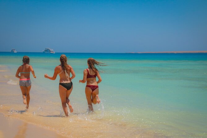 Swimming with Dolphins by Private Speed Boat - Hurghada - Practical tips to make the day feel smooth