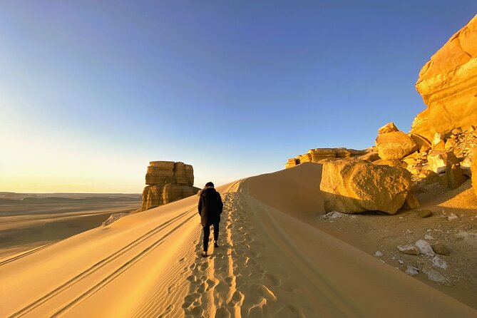 Tales of Fayoum: Private 2 days and 1 Night Full Experience - Key highlights you’ll feel right away