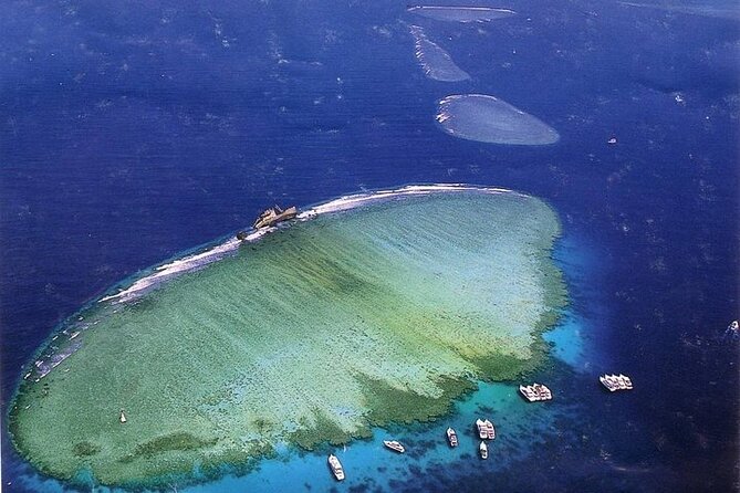 Tiran Island Full Day Boat Trip With Lunch from Sharm El Sheikh - Blue Laguna Snorkeling: A Shallow Reef Stop That’s Easier for Most People