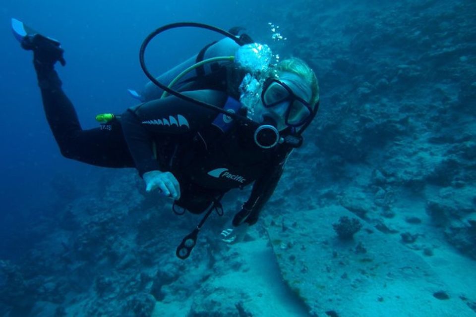 Tiran Island: Full-day Snorkeling, Diving Boat Trip - Key highlights at a glance