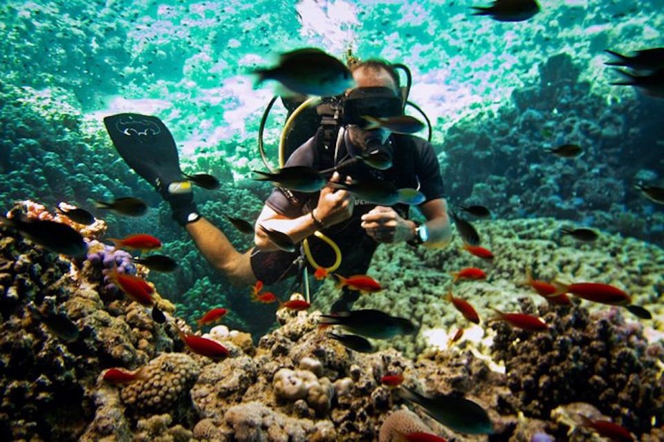Tiran Island: Full-day Snorkeling, Diving Boat Trip - What the stops feel like once you’re in the water