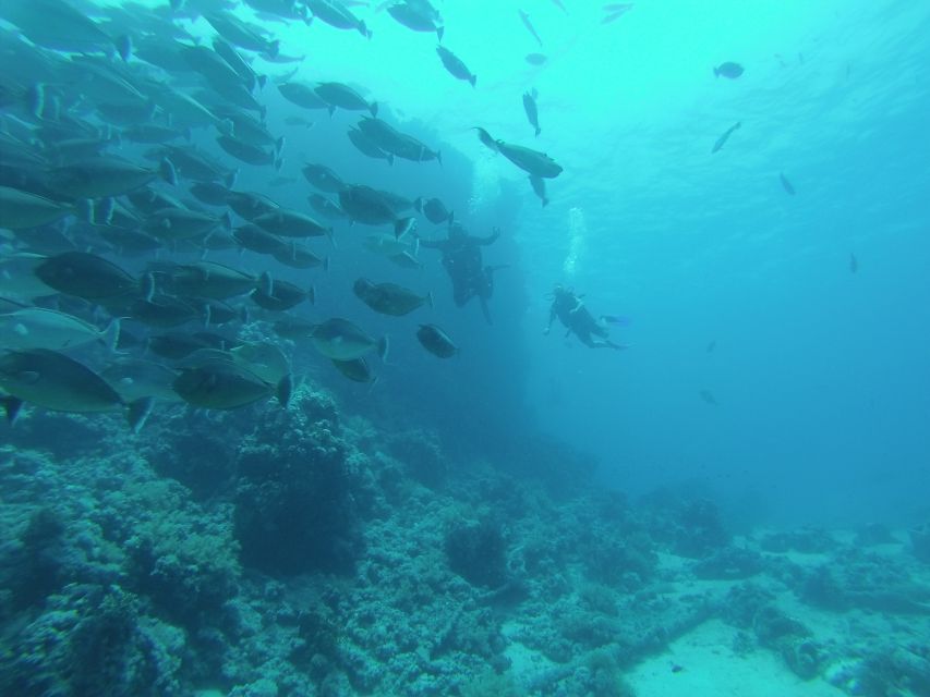 Tiran Island: Full-day Snorkeling, Diving Boat Trip - Gear, rules, and what you should bring