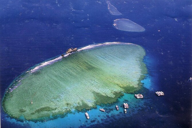 Tiran Island Full Day Snorkeling Sea Trip & intro dive 15 min - Sharm El Sheikh - Pickup in Sharm: Timing and What to Expect at the Harbor