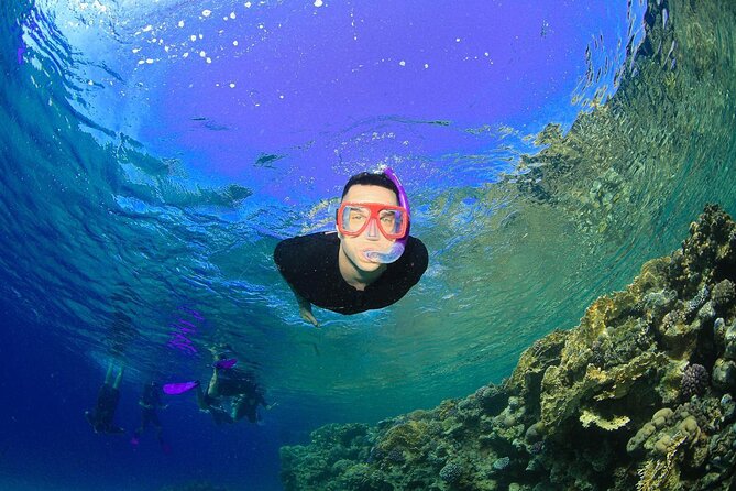Tiran Island Snorkeling Experience by Yacht Sharm El Sheikh - Optional Intro Scuba Session: Worth It If You Want More Than Snorkel
