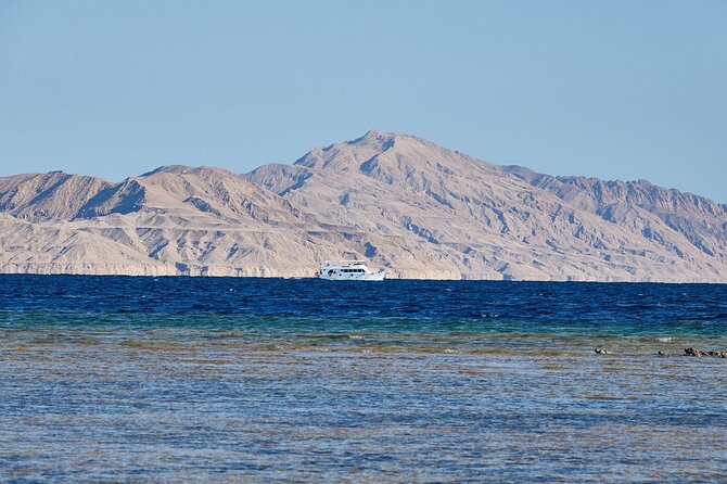 Tiran Island Snorkeling Experience by Yacht Sharm El Sheikh - Photos, Boats, and the Real-Day Details