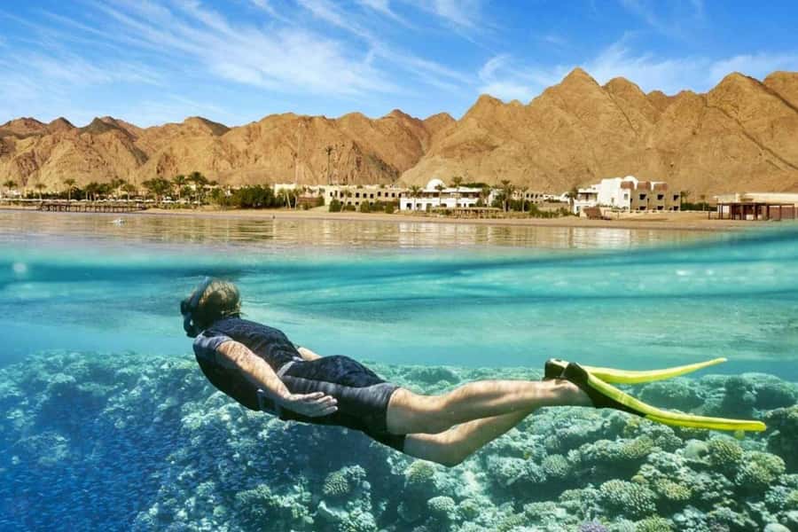 Top Day Tour To Red Sea El Ain Sokhna From Cairo - Key Things to Know Before You Go