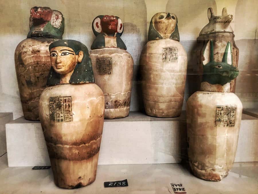Top Half Day Tour Visit Egyptian Museum - Inside the Egyptian Museum: what the 2-hour guided tour is for