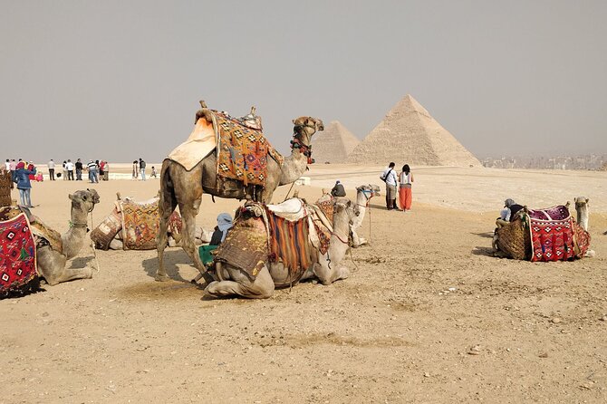 TOP Private ALL INCLUSIVE Pyramids,New Grand museum, Lunch,camel - New Grand Egyptian Museum: Why This Finale Works