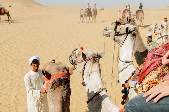 TOP Private ALL INCLUSIVE Pyramids,New Grand museum, Lunch,camel - Guide Names You Might Encounter: Waled, Romy, and Hamzi
