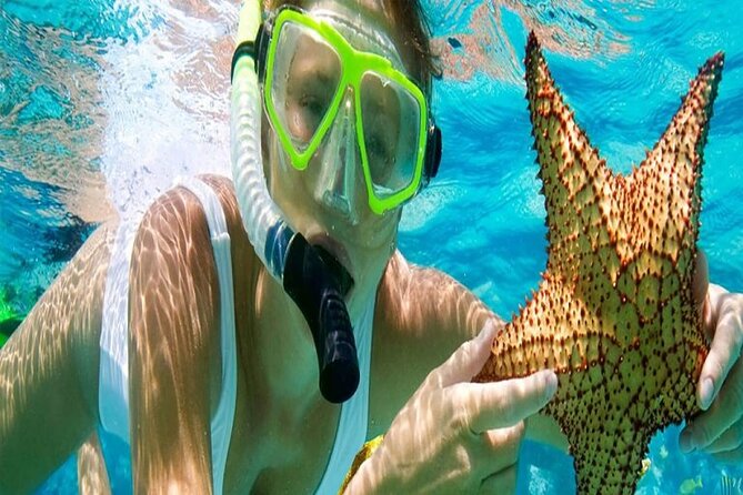 Tour and Swimming at the Dolphin House in Hurghada - The day’s flow: 8:00 am start, two snorkel sessions, then dolphin swim and games