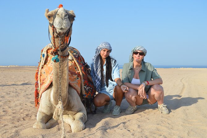 Tour in Hurghada Arabian Night and Star Watching - Why this 4:00 pm desert night feels like a full Arabian checklist