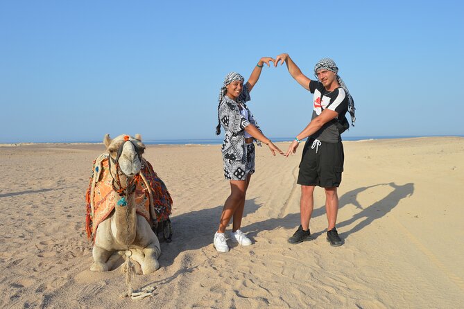 Tour in Hurghada Arabian Night and Star Watching - ATV quad biking and animal rides at the Sahl Hasheesh camp