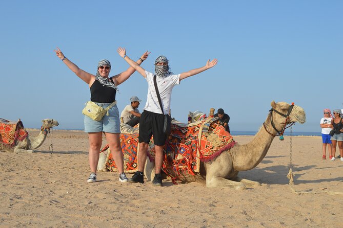 Tour in Hurghada Arabian Night and Star Watching - Beyond camels and horses: the mini menagerie you’ll actually see