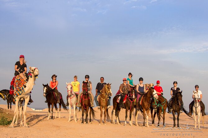 Tour in Hurghada Arabian Night and Star Watching - Getting to the camp: AC transfer, a clear start time, and real group pacing