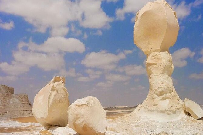 Tour Through White and Black desert Bahareya oasis - Bahariya Oasis stop: a green start before the desert turns odd