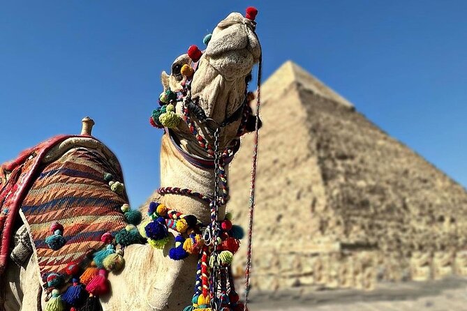 Tour to Pyramids and The Egyptian Museum - Tickets and money: how the $55 value really works