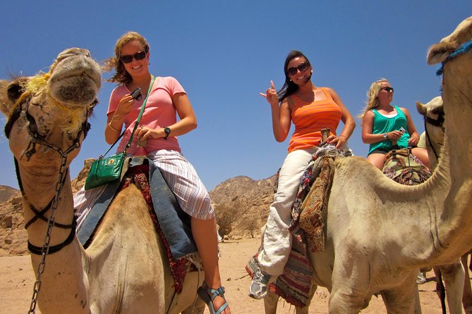 Tour to the Pyramids, Egyptian Museum and Local Bazaar from Cairo - Who this private Pyramids and museum tour suits best