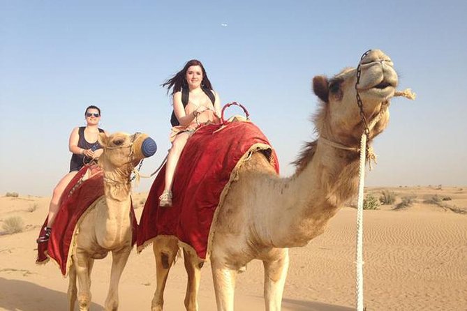 Trip Giza Pyramids, Egyptian Museum, Market,, camel Ride - A One-Day Cairo Combo: Museum, Giza Pyramids, Nile Lunch, Khan al-Khalili