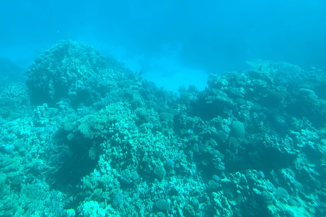 Trip on a glass bottom boat from Hurghada - Deck Relaxation Time: Enjoy the Red Sea on the Return