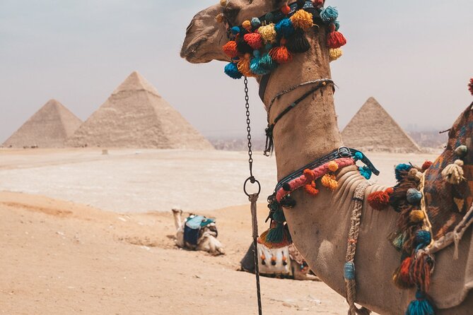 Trip To Cairo from Alexandria - Price and logistics: what you’re paying for (and what you’re not)