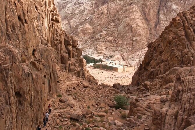 Trip To Mount Sinai & St Catherine From Cairo - Climbing Mount Sinai at 2:00 am: What the Bedouin Guide Adds