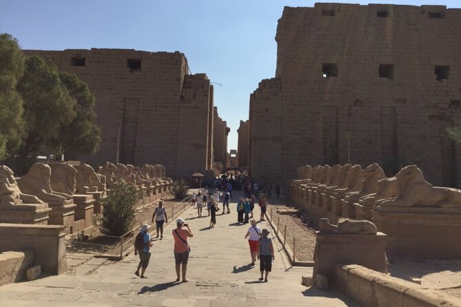 Trip to valley of the kings from Hurghada small group - The 5:00am start: how an early departure changes the whole day