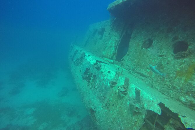Try Scuba Diving Experience for Beginners in Hurghada - A British PADI Instructor, Not a Wing-It Guide