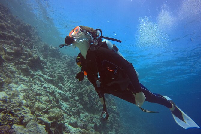 Try Scuba Diving Experience for Beginners in Hurghada - Price and Value: What $207.09 Covers (and Why It Matters)