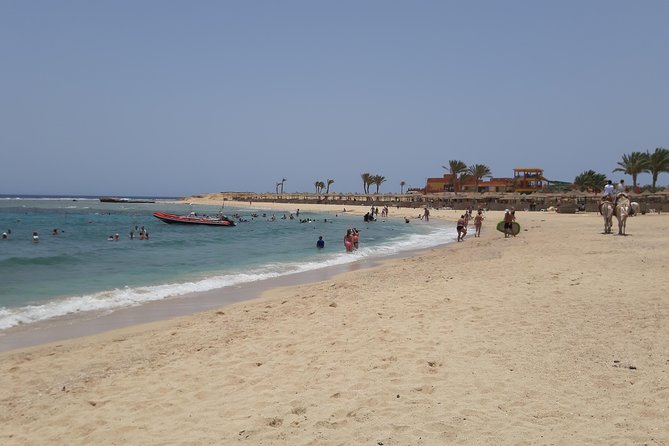 Turtles Bay, Swimming with Turtles Hurghada & Marsa ALam - Key things I’d bookmark before you go