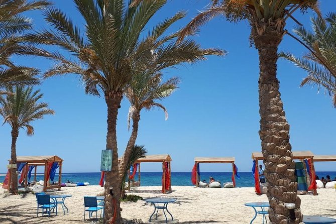 Turtles Bay, Swimming with Turtles Hurghada & Marsa ALam - Lunch by the beach: a real break, not just a snack
