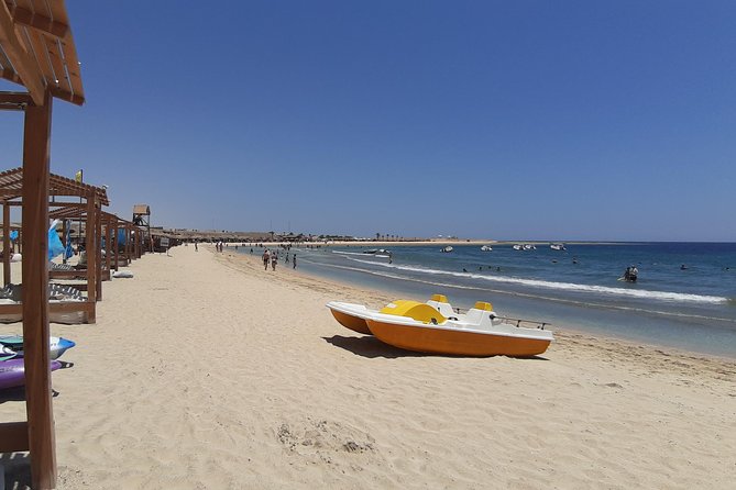 Turtles Bay, Swimming with Turtles Hurghada & Marsa ALam - Marine life odds: sea turtles, and maybe a dugong sighting