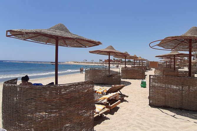 Turtles Bay, Swimming with Turtles Hurghada & Marsa ALam - Getting ready for the water: gear, guide help, and calm beginner vibes