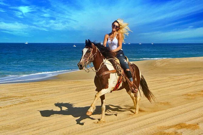 Two hours adventure Horse Riding with Transfer From Hurghada - Where you start and how pickup fees can change the value