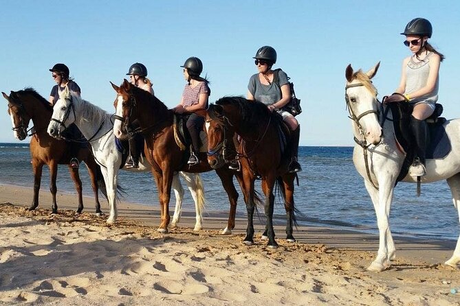 Two hours adventure Horse Riding with Transfer From Hurghada - Price and value: why $14.53 can be a smart deal