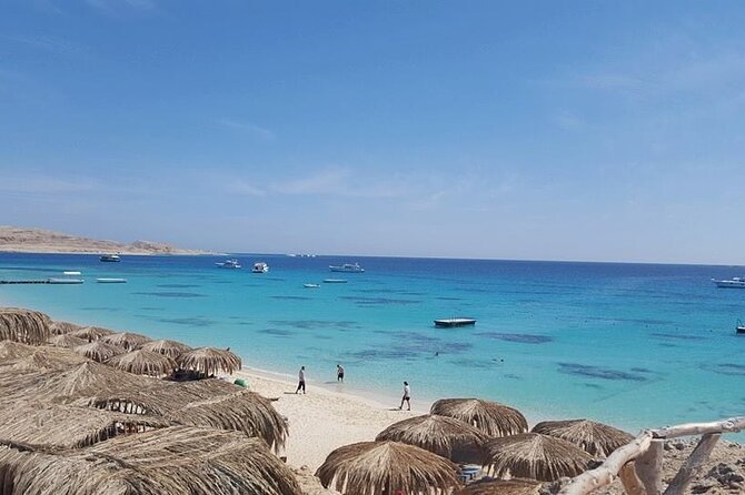 Udflugt til Ras Mohammed National Park & White Island med båd - Ras Mohammed snorkeling: short stops, big coral payoff
