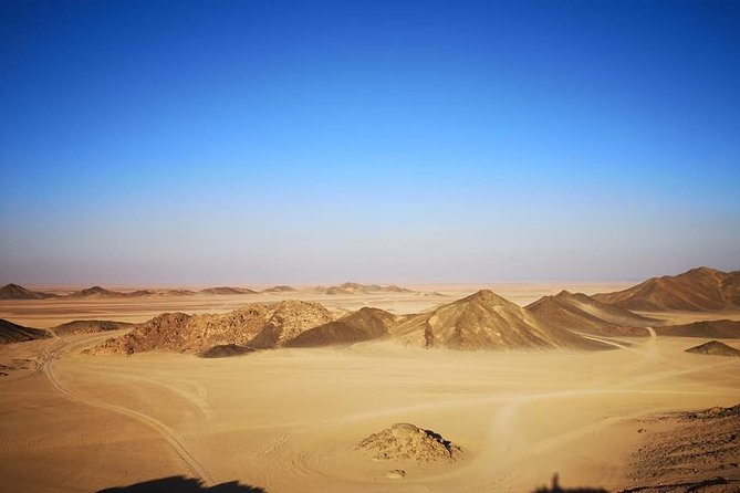 Ultimate Desert Experience - Why this quad-and-camel safari fits Sharm el Sheikh time