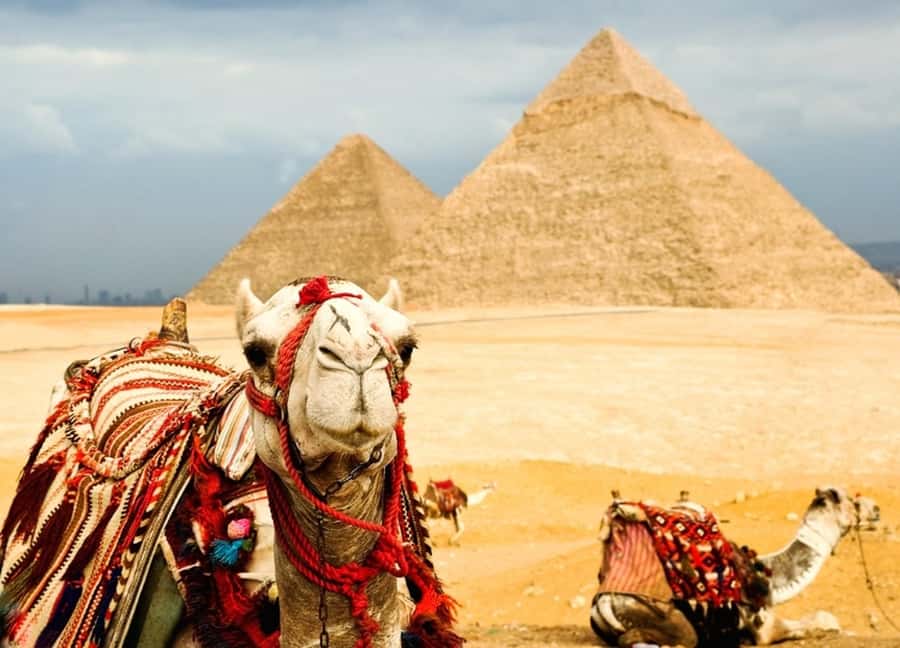 Unveil the Secrets of the Giza Pyramids & the Great Sphinx - Great Sphinx and Valley Temple of Khafre: The Mysterious Half