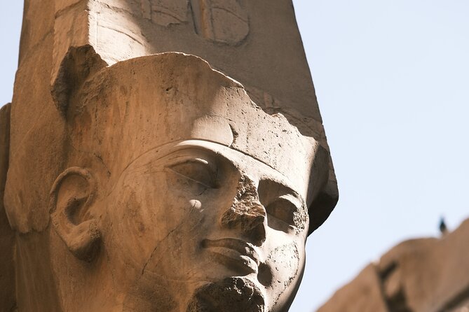 Valley of the Kings, Hatshepsut, and Karnak Temples Private Tour - Colossi of Memnon: The Free Wow Moment