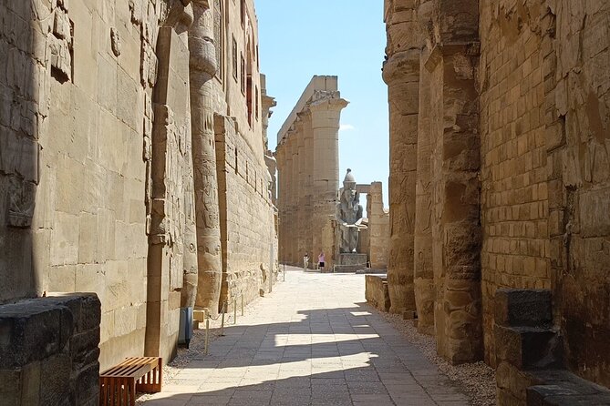 Valley of the Kings, Hatshepsut, and Karnak Temples Private Tour - Nile-Crossing Lunch on Your Terms