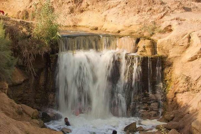 Valley of Whales and Wadi El Rayan Water Falls Day Tour from Cairo - Morning Escape From Cairo: Fayoum Starts With a Scenic Detour