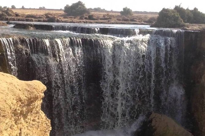 Valley of Whales and Wadi El Rayan Water Falls Day Tour from Cairo - Valley of the Whales (Wadi Al-Hitan): UNESCO Fossils You Can Actually See