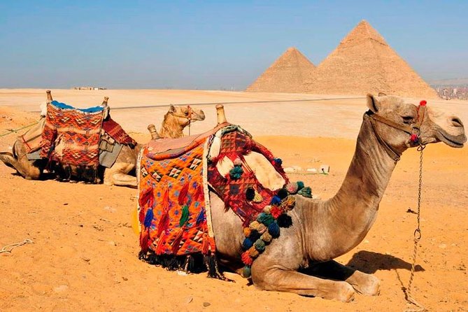 VIP All inclusive Best of Giza Pyramids, Sphinx, Sakkara, Memphis - Great Sphinx and Valley Temple: photo stops that actually help